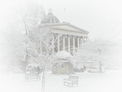 University College London